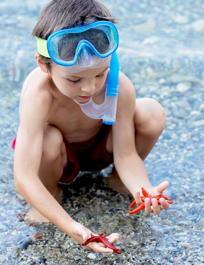 Ocean Dive Theme Sneak Peek