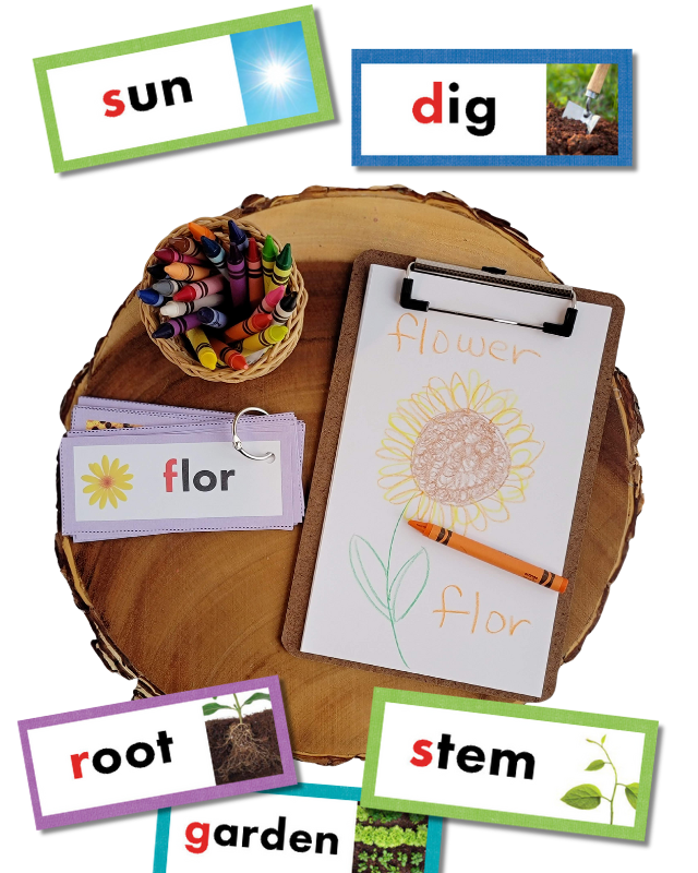 Ways to Use Key Vocabulary Cards in Preschool